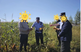 冰城公安：三十载扎根乡土  守护百姓心窝里的安宁