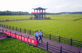 冰城公安：稻田里的藏蓝守护