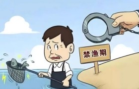 冰城公安支招：一文看懂禁渔期和禁渔区