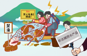 冰城公安小课堂：详解非法捕捞的法律责任与后果