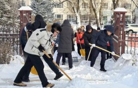 王杨乡：以雪为令齐行动 清雪除冰保畅通