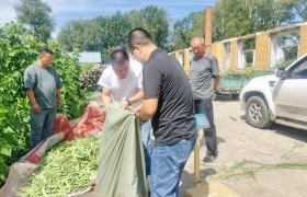 铁力市王杨乡：党建联建赋能“初心红”  政企携手激活乡村振兴“新势能”