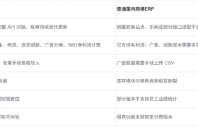 东南亚电商数据分析，哪个ERP最专业？