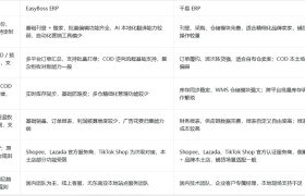 东南亚多平台多店铺推荐使用哪个ERP？