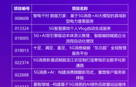 第九届“绽放杯”5G应用征集大赛新通信专题赛圆满收官