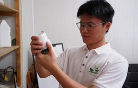 绿色创新之光，铸就细菌纤维新星