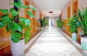 脑梗后吞咽困难与吸入性肺炎：广州白云区这家医院如何实现多学科联合救治？