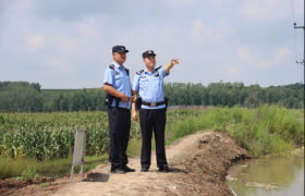 深耕生态警务 守护绿水青山 宾县公安局筑牢辖区生态安全屏障