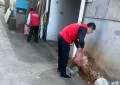 平安产险磐安支公司：垃圾清理志愿服务 守护整洁宜居环境