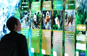 大阪世博会中国馆开馆