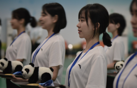 缘起冬奥 圆满亚冬  从志愿者到护航者的蜕变