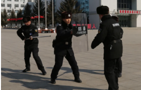 【春雷行动】冰城公安：常亮警灯铸平安  前置服务暖企心