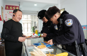 【春雷行动】冰城公安多管齐下 编织安全防护网络