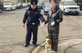 一边帮找狗，一边教养狗！南岗警方全力倡导“文明养犬”