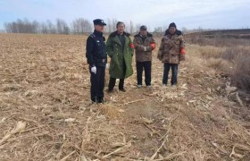 春雷行动:护航春耕 冰城公安筑牢乡村振兴平安基石