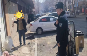 多维发力护文明  冰城公安奏响养犬治理和谐乐章