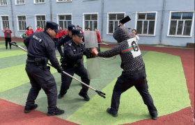 春雷行动30天：  冰城公安亮剑 平安触手可及