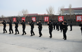 从街头到巷尾 冰城公安全域防控守护万家灯火