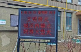 冰城公安喊你“牵绳铲屎”啦！