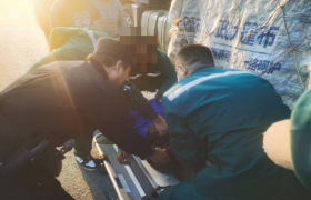 暖阳洒满街巷 平安映射藏蓝  冰城公安暖心守护在线