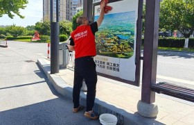 烈日映红心，环境共守护——东阳平安产险开展世界环境日公益活动