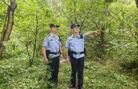 藏蓝青山共年轮：  魏锦鹏的2000公里生态守护路