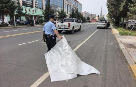 货物意外掉落  民警化身“搬运工”