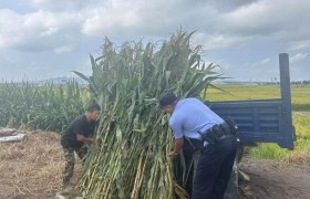 秋风送暖 民警助农解忧
