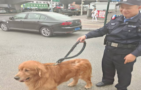 大成派出所民警巡逻中帮助群众找回走失爱犬 践行“为民服务”初心