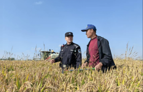 护秋收保民生 冰城公安筑牢田间安全防线