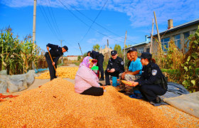 冰城公安：深耕矛盾化解 守护秋收平安