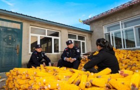 黑土地上普法忙！  冰城公安倾力织密秋收“法治防护网”