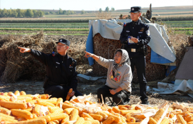 护秋收 “警”相随！  道外公安深入田间地头开展安全宣讲