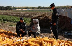 道外公安：下好主防“先手棋”  夯实社区警务平安根基