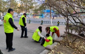 鸡西移动公司开展“志愿奉献 共建幸福美好家园” 志愿服务活动