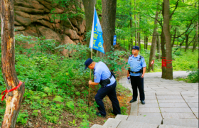 松峰山派出所：铸魂守青山 实干护平安