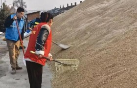 王杨乡农技站：创新宣传模式  赋能乡村发展