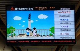 冰城公安“亮屏”传文明  让安全伴年味同行