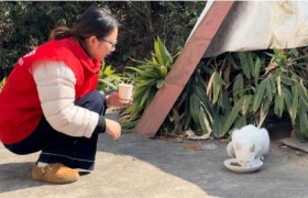 “喵星”驿站：一位平安志愿者的四百天守护日志