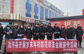 通河公安联合多部门开展防范非法金融宣传活动