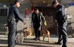宾县公安局开展文明养犬宣传活动 筑牢辖区安全文明防线