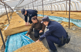 警务融入产业 平安赋能增收  冰城公安为特色种植保驾护航