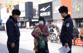 从“一根绳”到“一条心”  冰城公安柔性执法让文明养犬成为双向奔赴