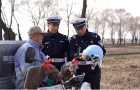 凌晨五点半的田间地头  藏蓝身影守护春耕农忙路