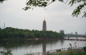 平安产险金华中心支公司：举办“5·19就要走”主题健步走活动