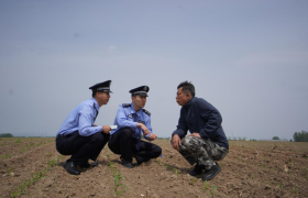 护土有责！冰城公安织密黑土地安全防护网