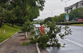 落实行业部署 筑牢防台防线 平安产险金华中心支公司全力迎战台风“白海豚”