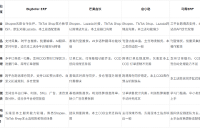 东南亚Shopee/TikTok/Lazada多店铺ERP推荐，怎么选？
