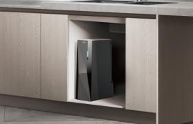 康丽根小黑龙语音版：聪明听话有点甜！夏季吨吨吨不能离了它！