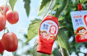 南方+“金牌莞味”深度揭秘：东莞番茄酱品牌凤球唛何以持续走俏全国？